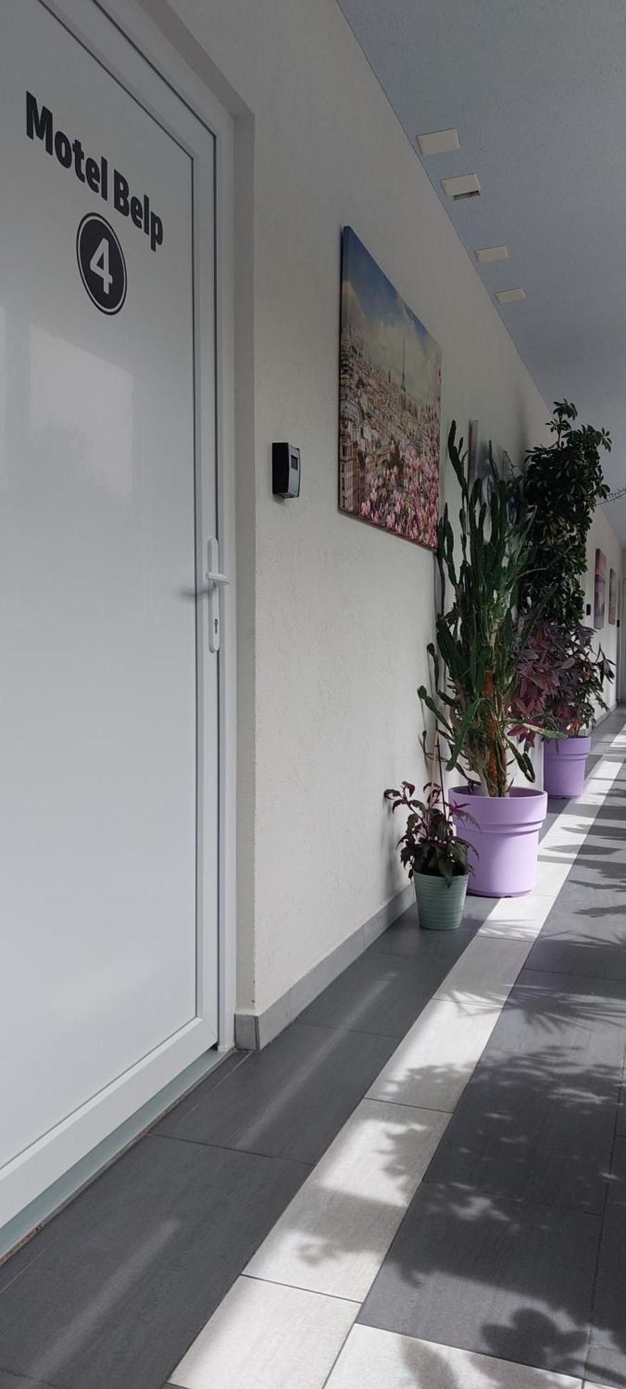 Hotel Belp Bern Airport Free Parking Esterno foto