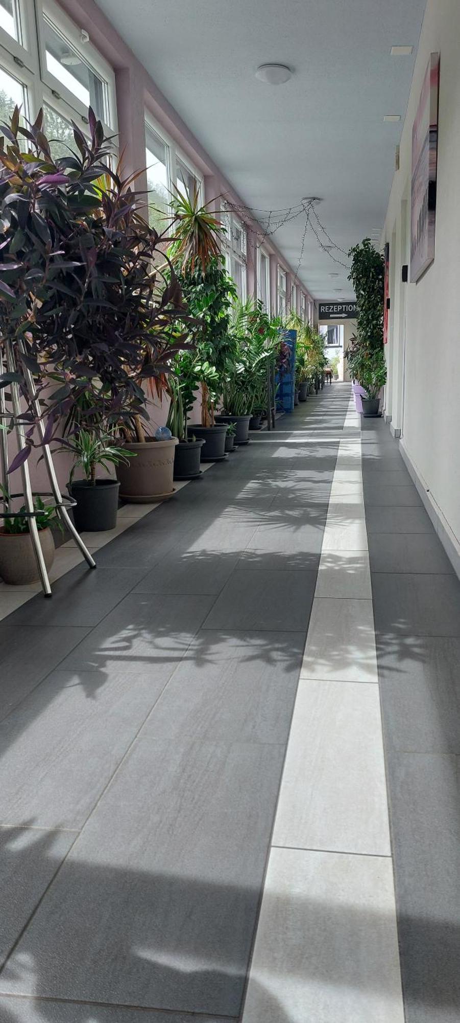 Hotel Belp Bern Airport Free Parking Esterno foto